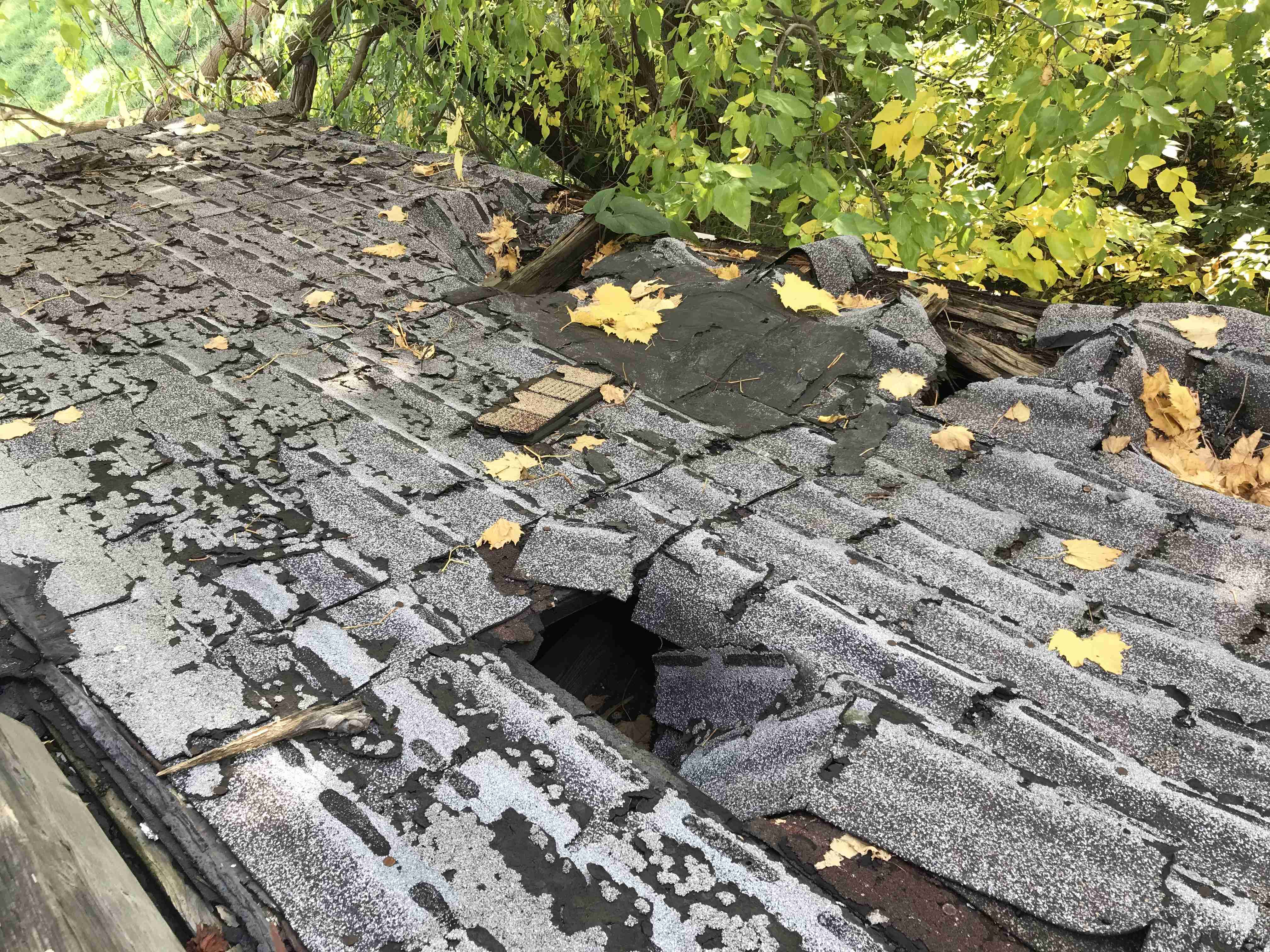 Photo Oct 13, 3 49 09 PM.jpg